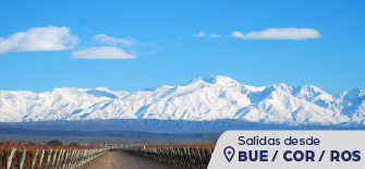 Mendoza & Luján de Cuyo {package-custom-search}